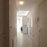 Διαμέρισμα Ana *